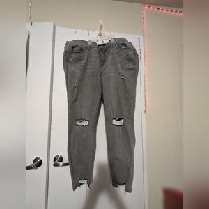Plus size jeans size 22 R from torrid